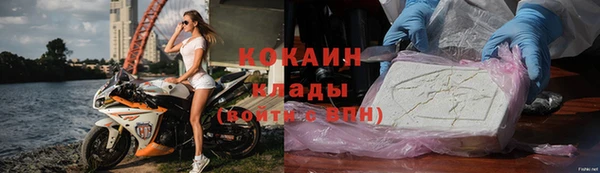 прущие крисы Белокуриха