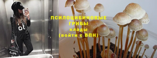 синтетический гашиш Белоозёрский