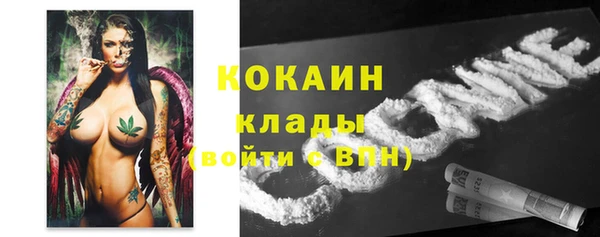 прущие крисы Белокуриха