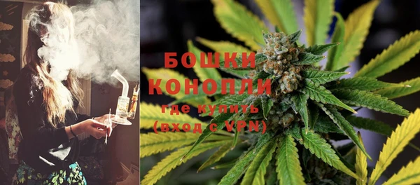 прущие крисы Белокуриха