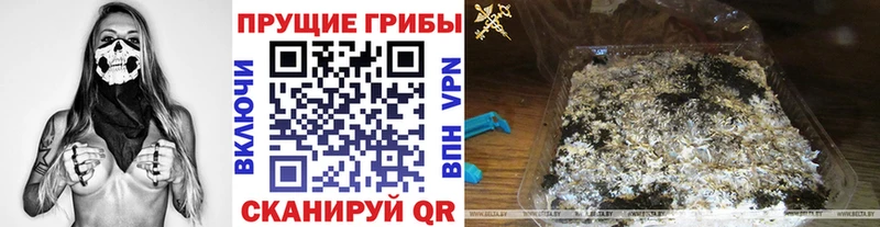 Псилоцибиновые грибы мицелий  Макаров 